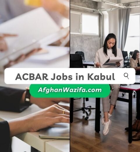 How to Create an Impressive Resume for Afghanistan Job Market