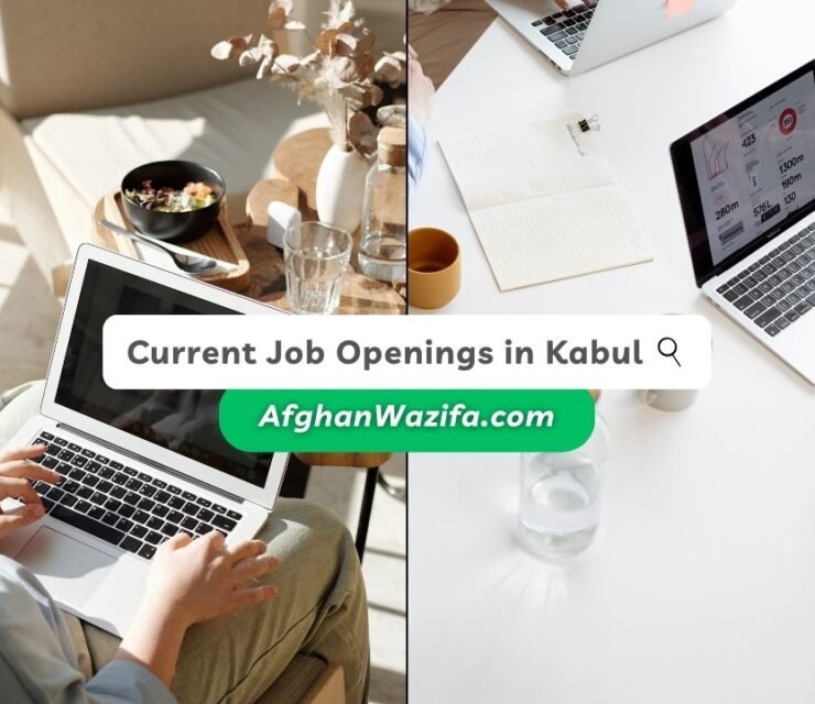 Current Job Openings in Kabul: An Overview of Employment Opportunities in the City