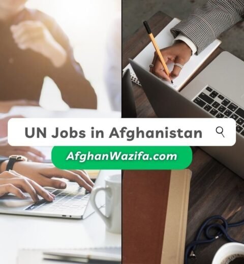Guide to UN Job Opportunities in Afghanistan 2023