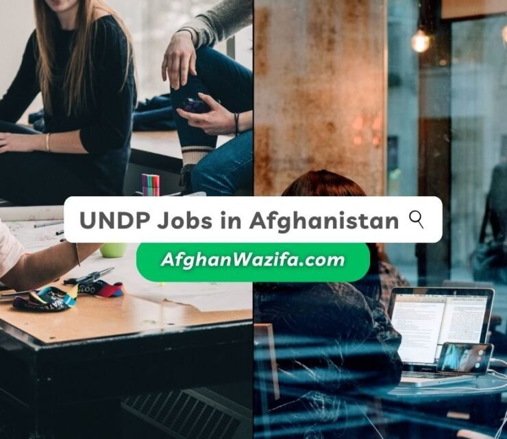 UNDP Jobs in Afghanistan: A Guide to Career Opportunities and Requirements