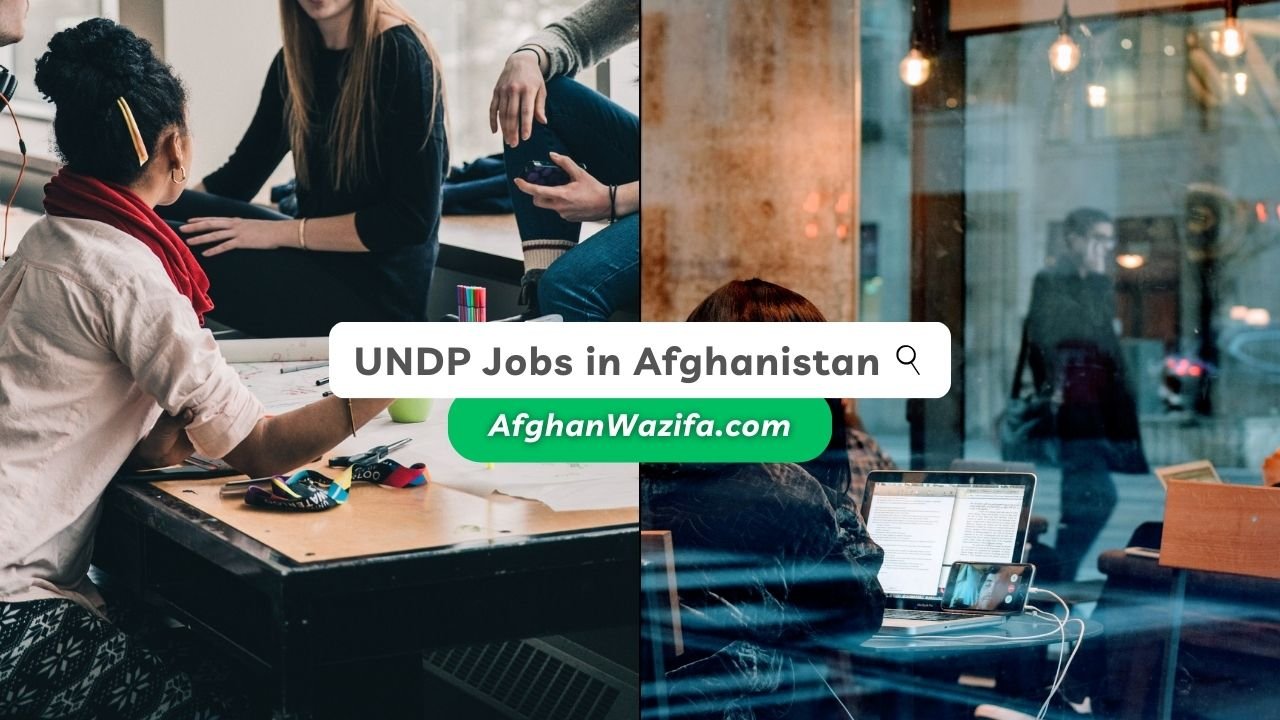 UNDP Jobs in Afghanistan: A Guide to Career Opportunities and Requirements