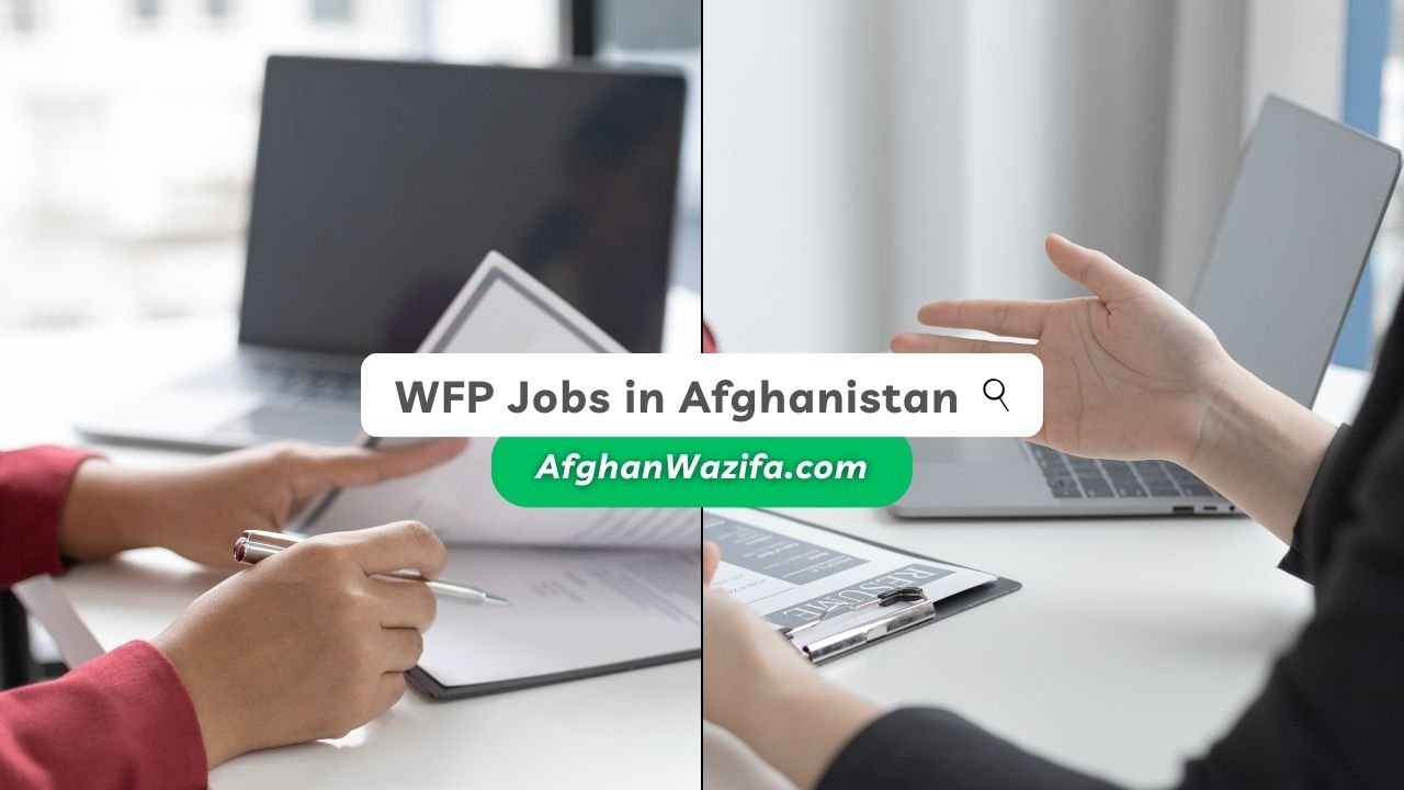 WFP Jobs in Afghanistan: Opportunities and Challenges